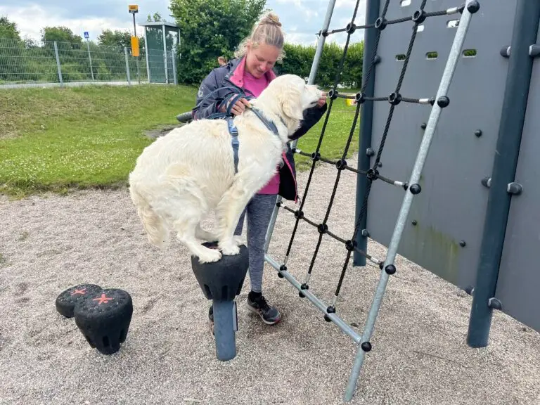 DA658BA6-4CF7-42E2-967D-46F332F74E2E