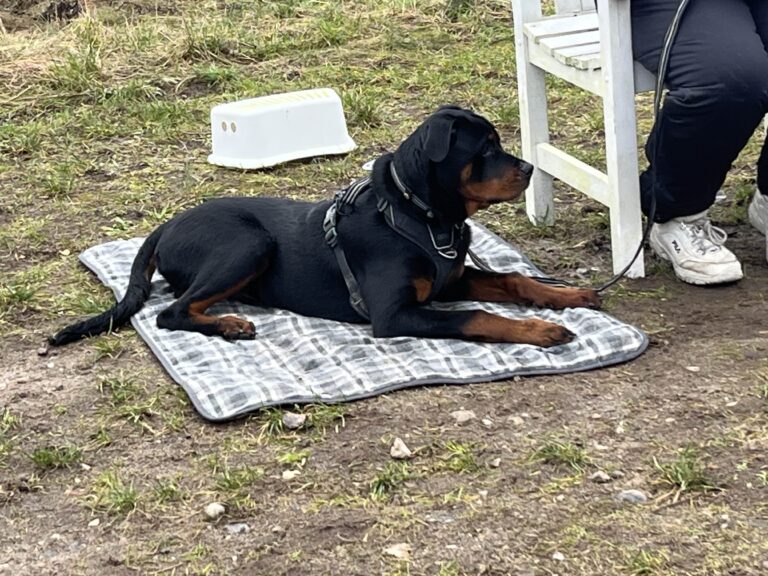 B27EA9A8-0DDF-4D68-A491-A143454B87FE (1)