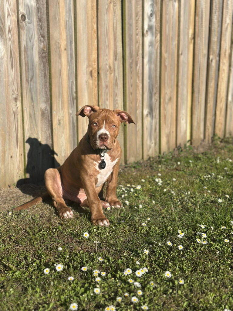 processed-6D26B1CC-3E38-46DB-A9E8-F0CAE660A350