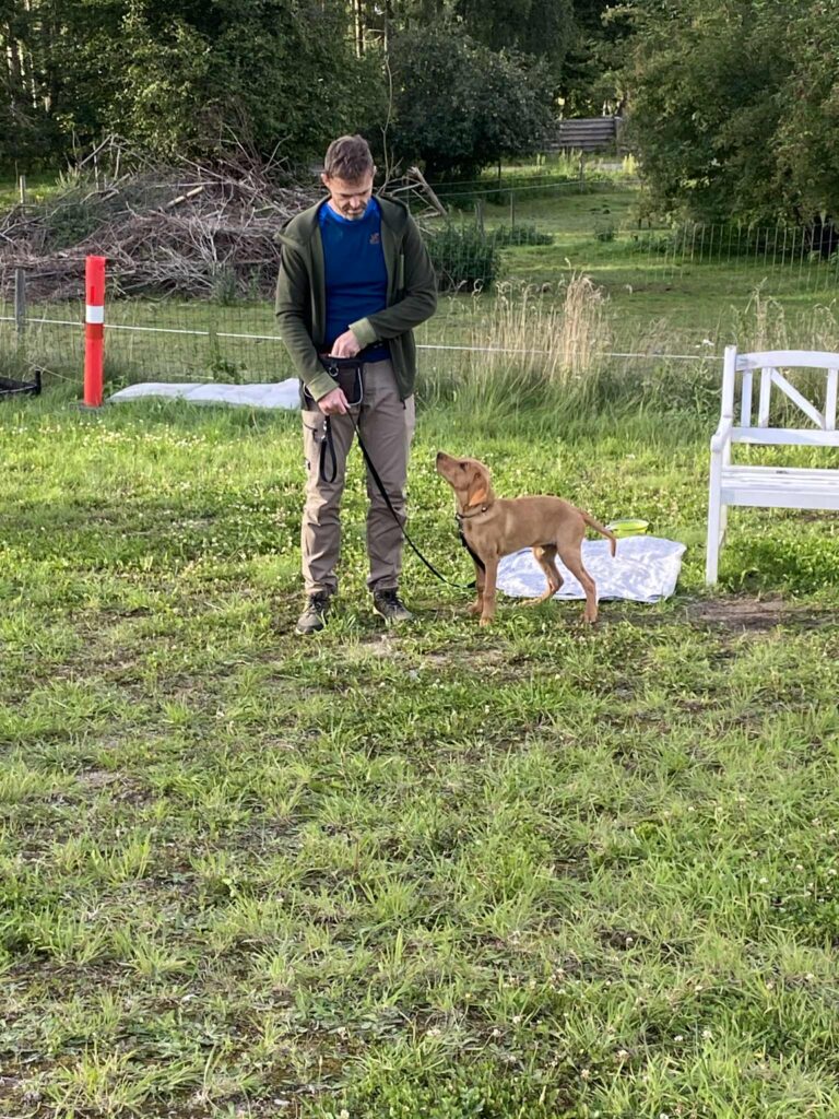 01101C5B-262D-4C00-B661-6B3FD7F3B006