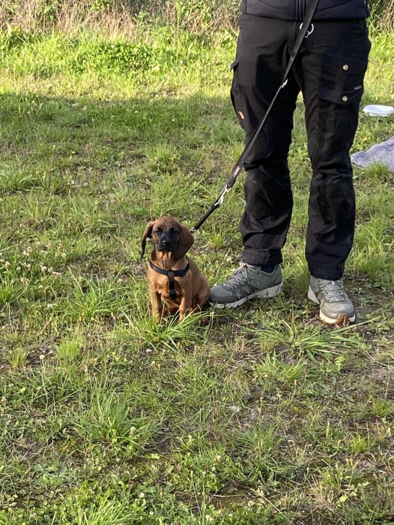 C2F00C09-8FA6-4F56-8E21-14092A508730