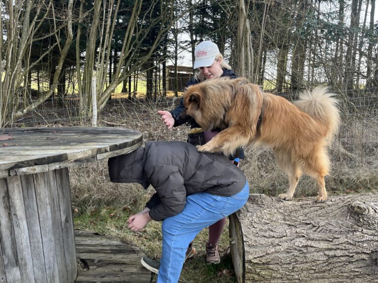 08BC93CC-4ECB-4C71-9C31-7CC185EE5CF0