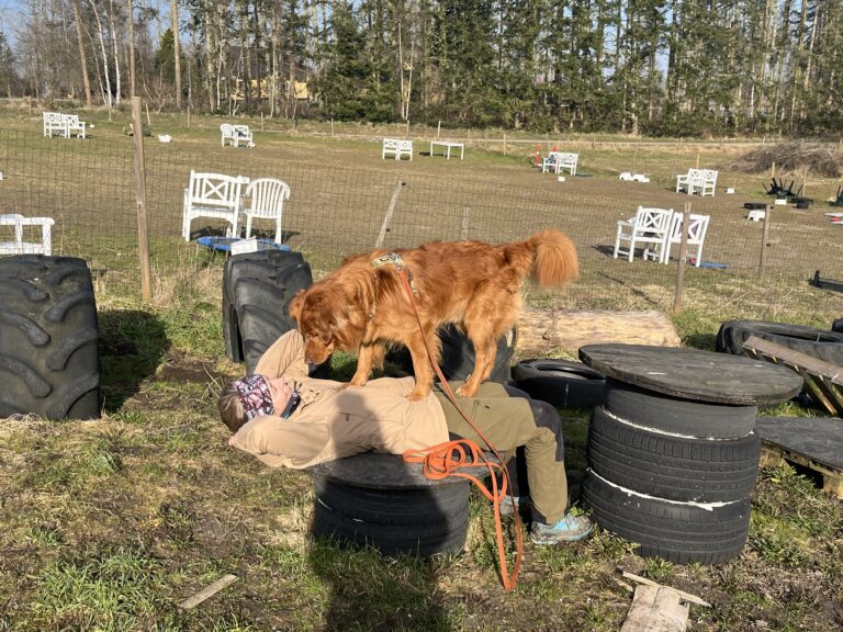 339034EF-EC6C-44E4-B3B6-5296EDE2F2EF