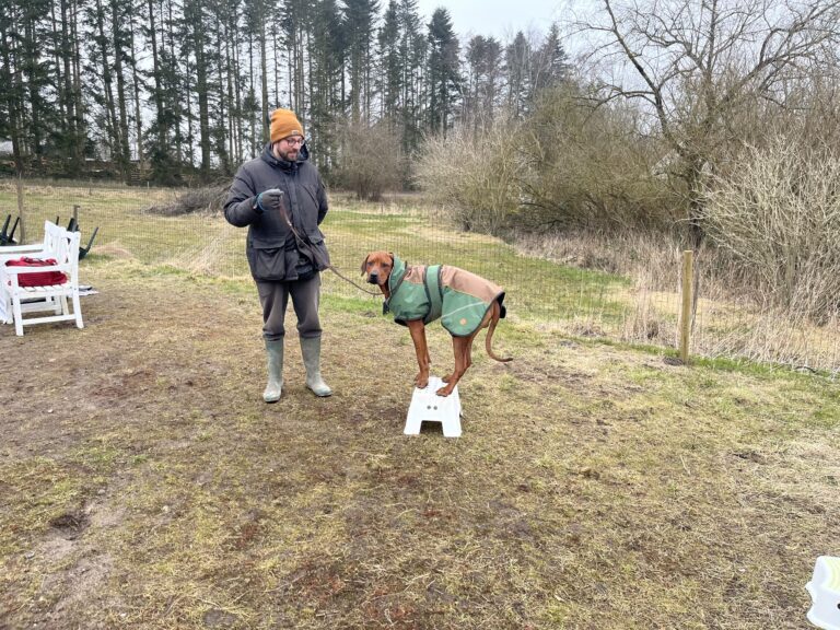 485418028_679746928055778_3444127710153762304_n