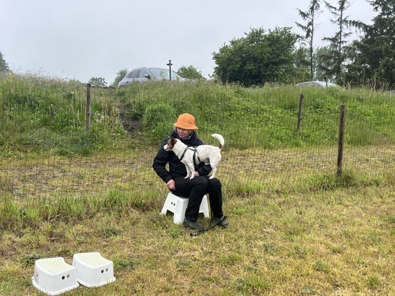 6103DB32-0E48-4003-8EAC-4C79B5984CB6