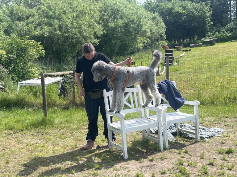 677B61E3-2FA7-4AA5-8F3B-9DC386659D23