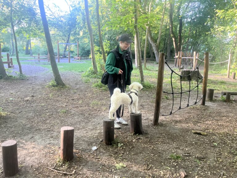 A74B0CBD-1AEB-417D-A1BB-30257D799BDB