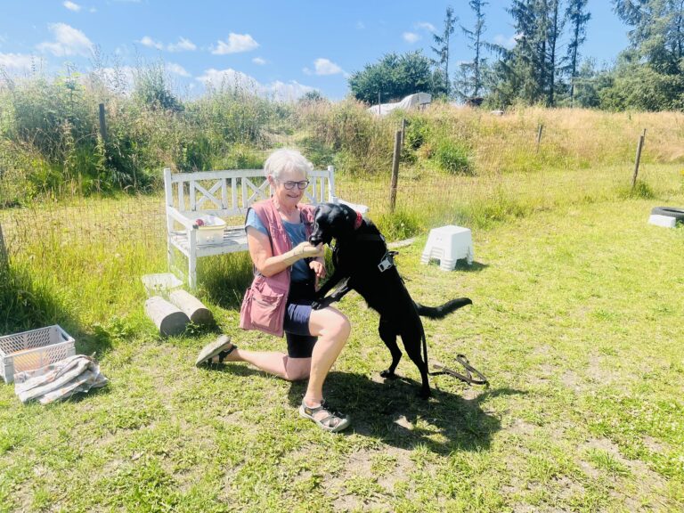 AF2450E4-B003-4EE6-816B-9BBB2F35A23A