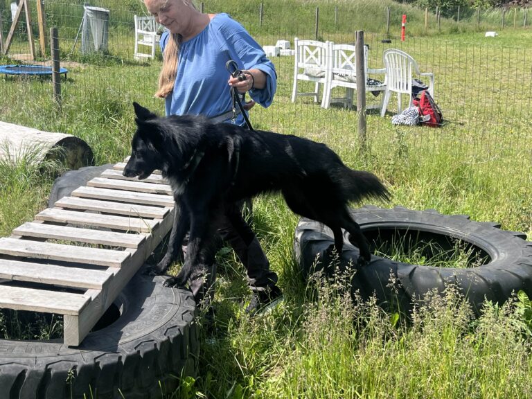 D1AA29AB-67A2-4CA0-BBC0-C139F6C98864