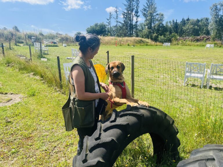 E7284BBD-9BC4-4945-8BDD-0D23D1EBC5B2